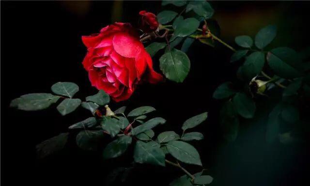 有一種累，叫想太多