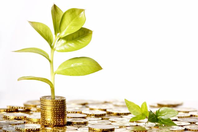 理好“才”，才能理好“財”