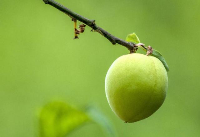 做人,走霉運前的四個跡象,你快進來看看有沒有?