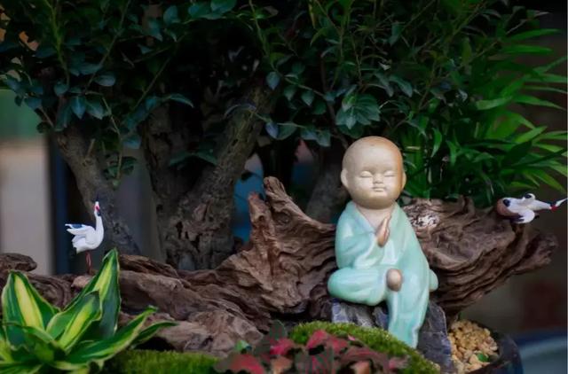 保持善良，嚴格律己，學會不在意！