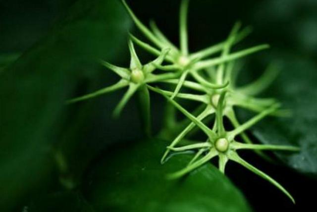 真正的聰明人，在這三個方面都很“絕”