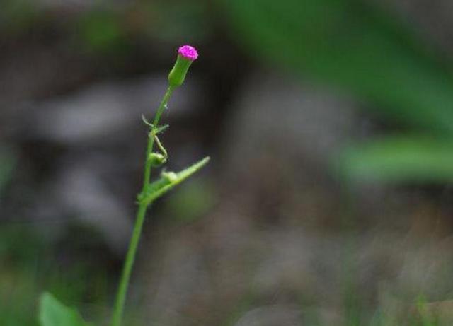 真正的聰明人，在這三個方面都很“絕”