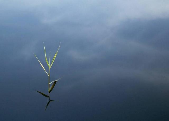 真正的聰明人，在這三個方面都很“絕”