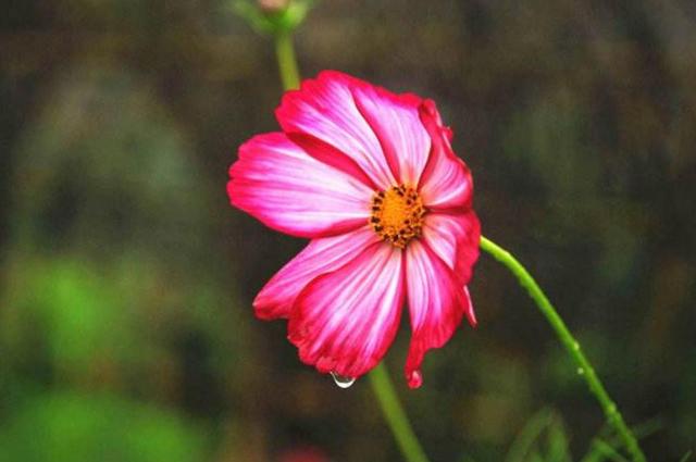 真正的聰明人，在這三個方面都很“絕”