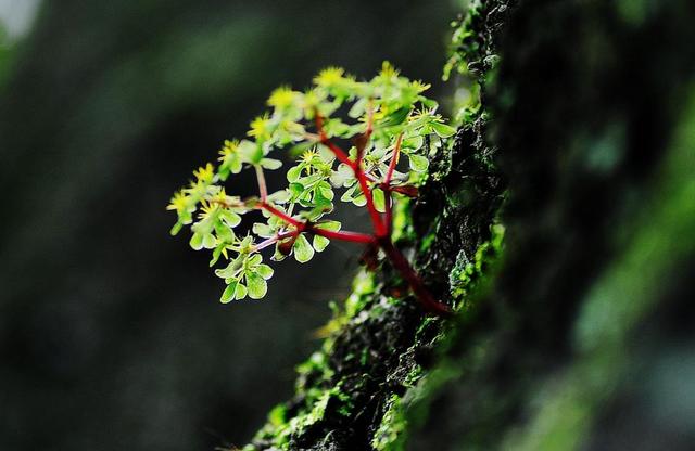 真正的聰明人，在這三個方面都很“絕”