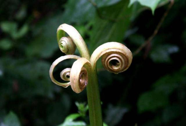 真正的聰明人，在這三個方面都很“絕”