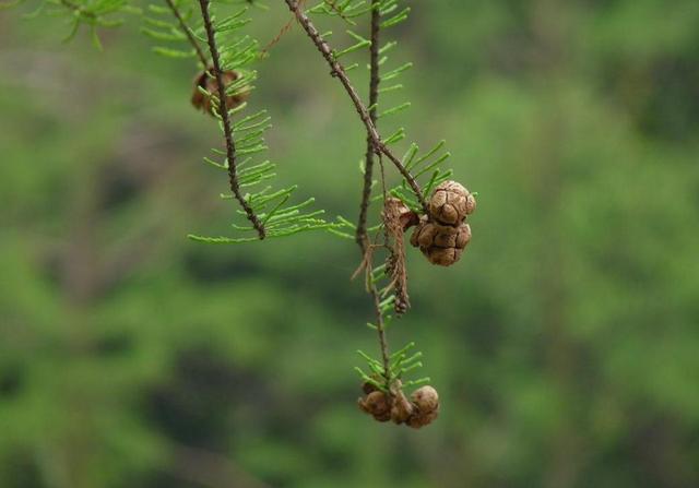 真正的聰明人，在這三個方面都很“絕”