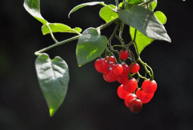 當你的人生破碎了，請用堅強活著來修修補補吧