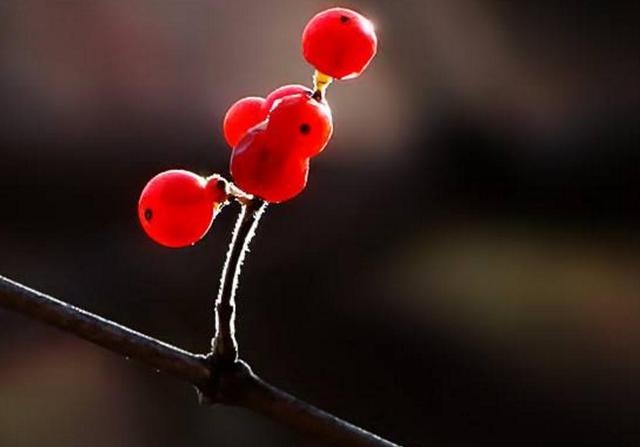 當你的人生破碎了，請用堅強活著來修修補補吧