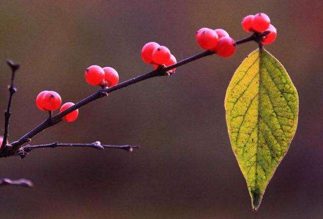 當你的人生破碎了，請用堅強活著來修修補補吧