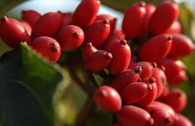 當你的人生破碎了，請用堅強活著來修修補補吧