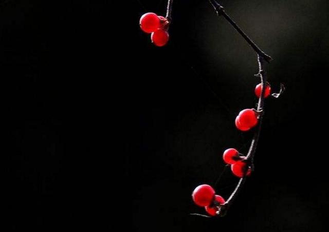 當你的人生破碎了，請用堅強活著來修修補補吧