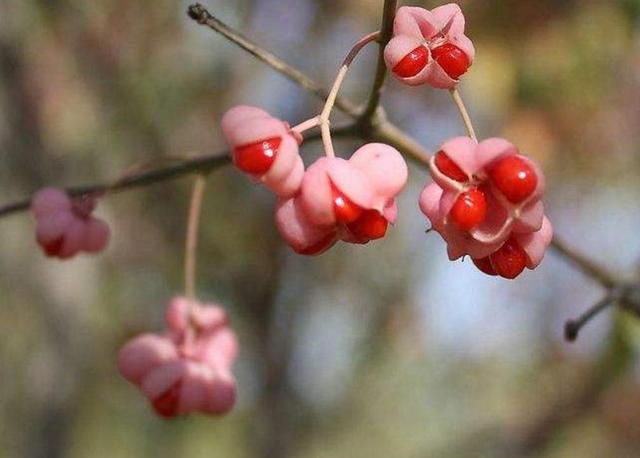 當你的人生破碎了，請用堅強活著來修修補補吧