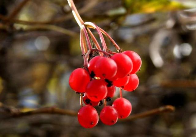 當你的人生破碎了，請用堅強活著來修修補補吧