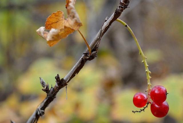 當你的人生破碎了，請用堅強活著來修修補補吧