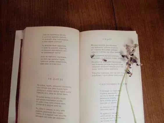 餘生，好好愛自己