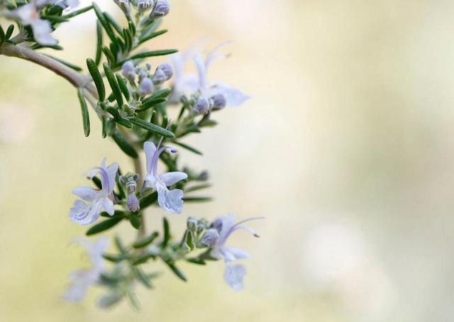 人到中年，才知道世事無常