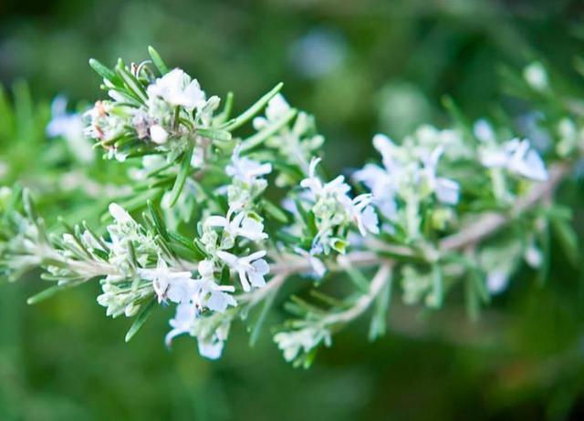 人到中年，才知道世事無常