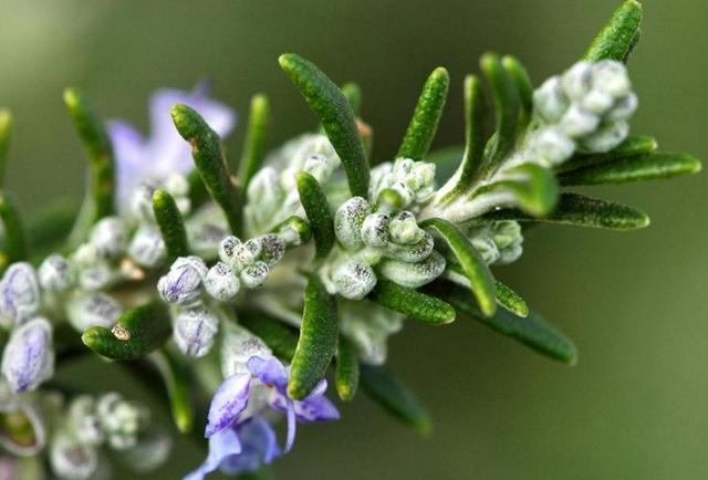 人到中年，才知道世事無常