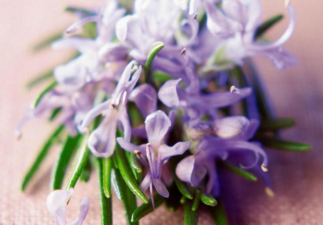 人到中年，才知道世事無常