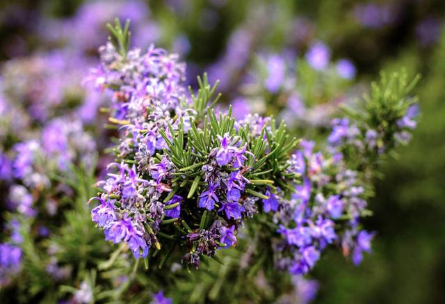 人到中年，才知道世事無常