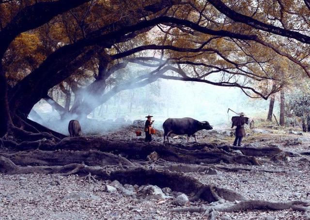 營造心靈的“小國寡民”，獨守內心的“世外桃源”