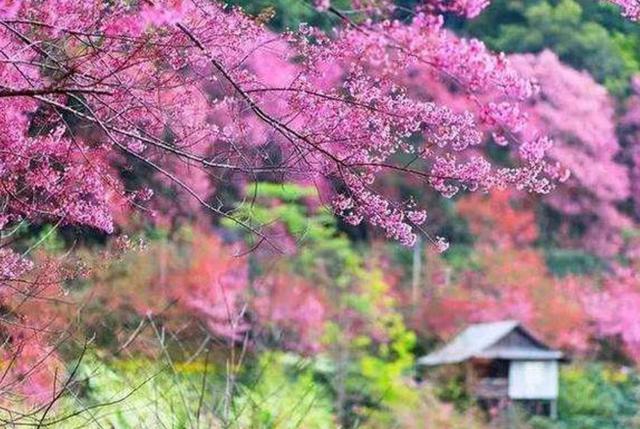 營造心靈的“小國寡民”，獨守內心的“世外桃源”
