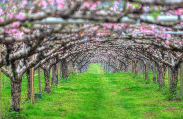 營造心靈的“小國寡民”，獨守內心的“世外桃源”