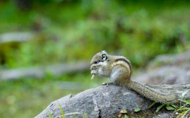營造心靈的“小國寡民”，獨守內心的“世外桃源”