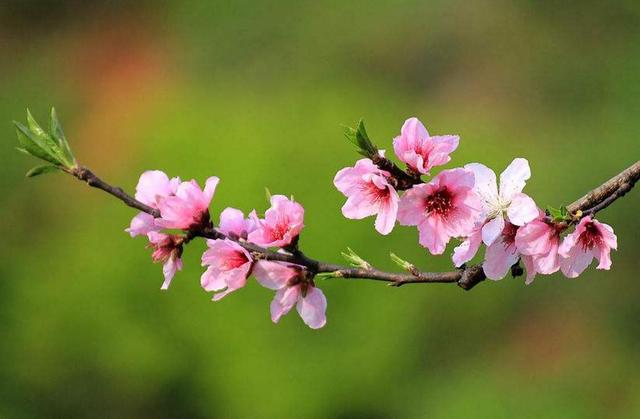 營造心靈的“小國寡民”，獨守內心的“世外桃源”