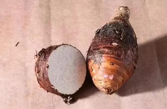 人人嫌它長得醜,卻不知它對身體那麼好! 老人小孩都愛吃