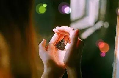 明明不能愛，偏偏是深愛！