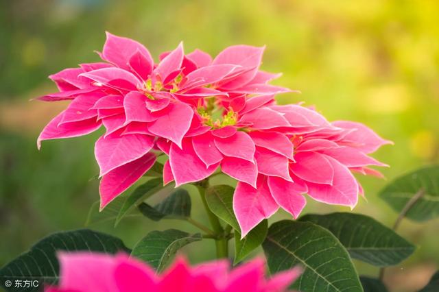 悲傷淒涼的說說，看著看著就陷入了回憶！