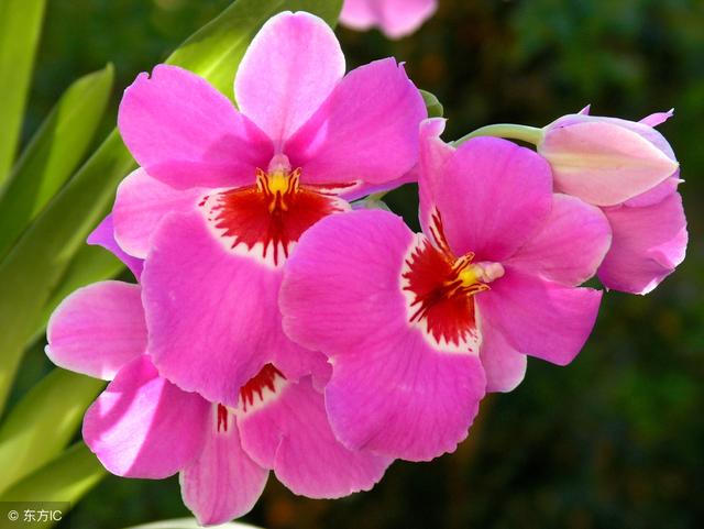 悲傷淒涼的說說，看著看著就陷入了回憶！