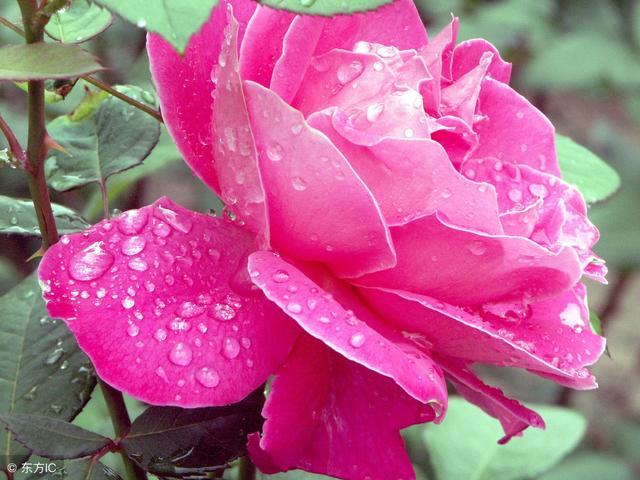 悲傷淒涼的說說，看著看著就陷入了回憶！