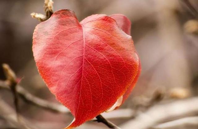 沉默，是一種放過