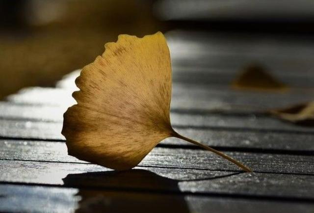 沉默，是一種放過