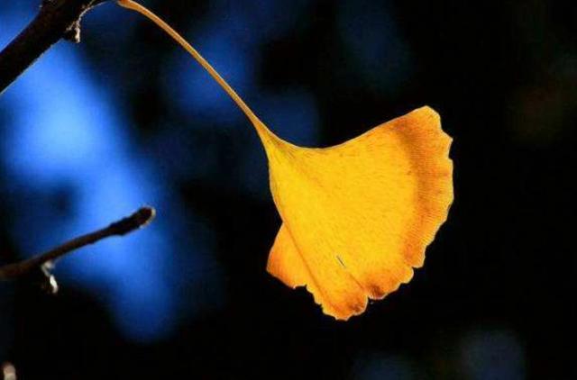 沉默，是一種放過