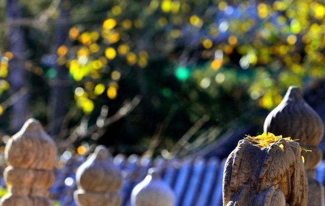 沉默，是一種放過