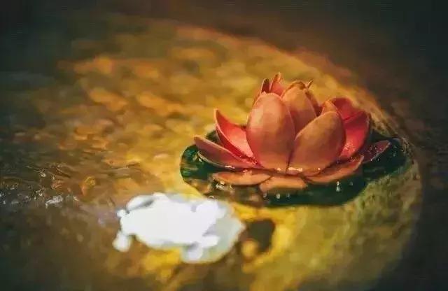 渡人，亦是渡己