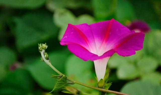 做真正的自己，別讓人生枯萎！