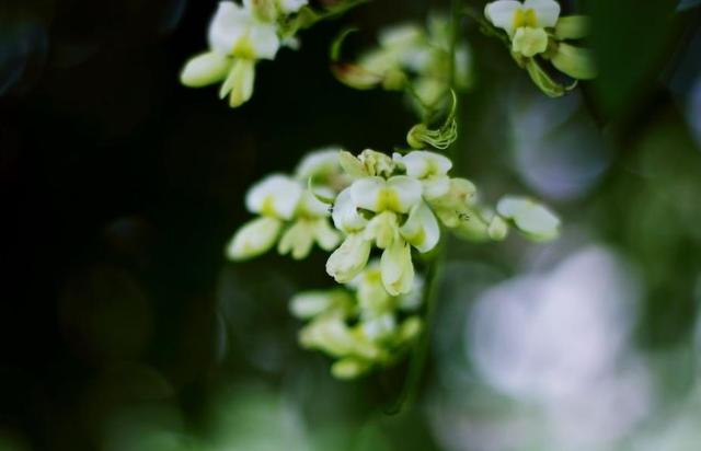 落魄後才明白：家，已經是一個回不去的地方了