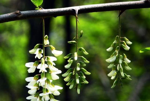 落魄後才明白：家，已經是一個回不去的地方了