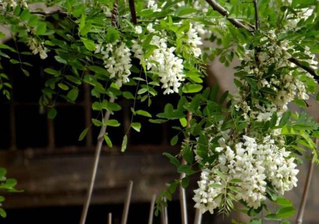 落魄後才明白：家，已經是一個回不去的地方了