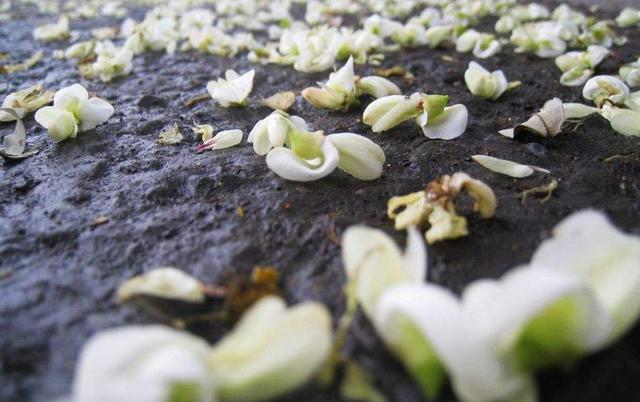 落魄後才明白：家，已經是一個回不去的地方了