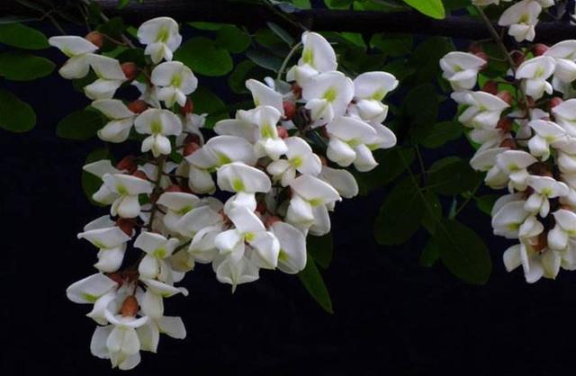 落魄後才明白：家，已經是一個回不去的地方了