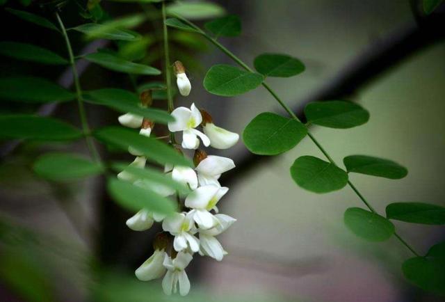 落魄後才明白：家，已經是一個回不去的地方了