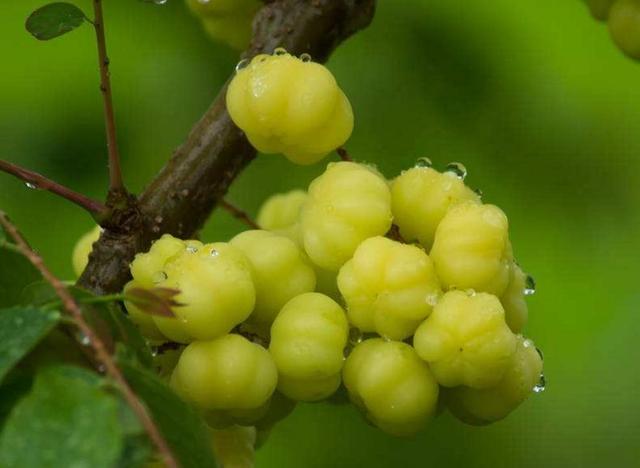 失去尊嚴的人，往往很可怕，我們要注意提防