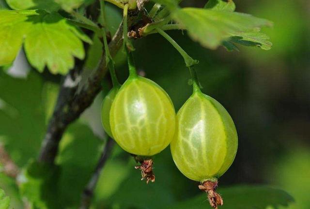 失去尊嚴的人，往往很可怕，我們要注意提防
