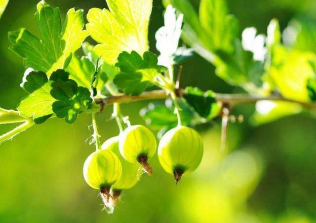 失去尊嚴的人，往往很可怕，我們要注意提防